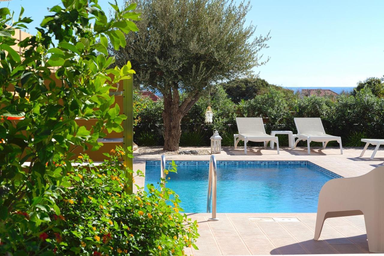 Terpsis Pool Villa Asgourou Extérieur photo
