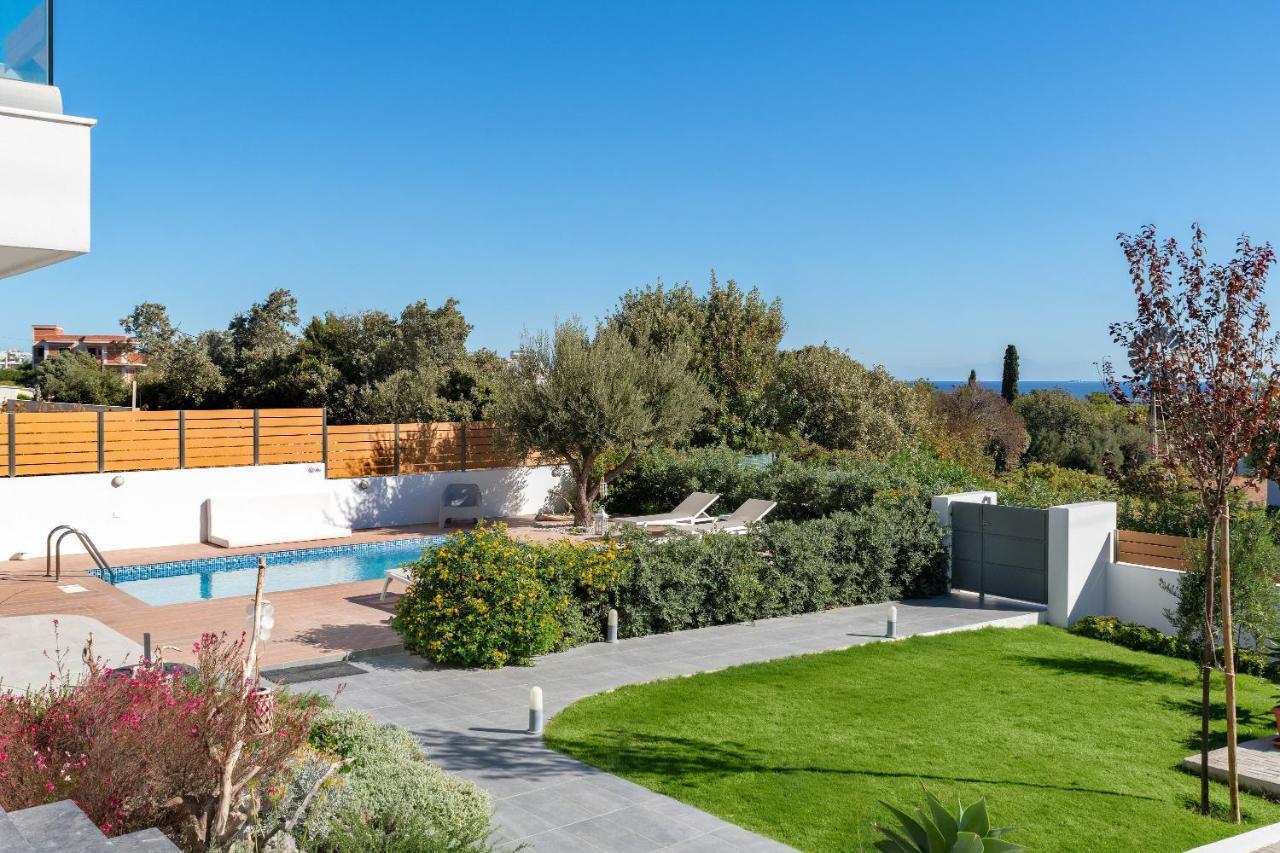 Terpsis Pool Villa Asgourou Extérieur photo